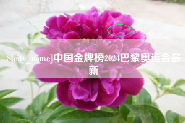 昌都中国金牌榜2024巴黎奥运会最新