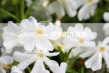 昌都数字的九宫格