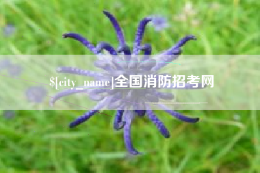 昌都全国消防招考网