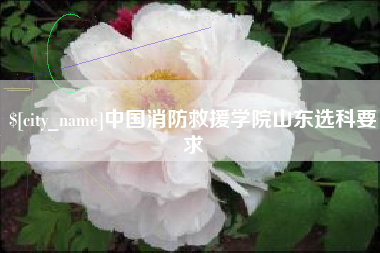 昌都中国消防救援学院山东选科要求
