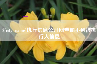 昌都执行信息公开网查询不到被执行人信息