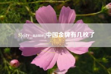 昌都中国金牌有几枚了
