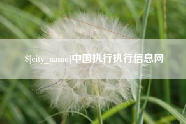 昌都中国执行执行信息网