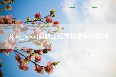 昌都消防工程学校录取分数线
