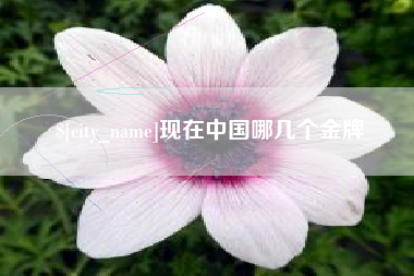 昌都现在中国哪几个金牌