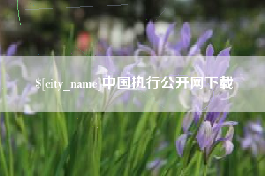昌都中国执行公开网下载