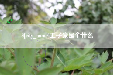 昌都王子豪是个什么