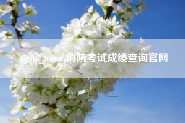 昌都消防考试成绩查询官网