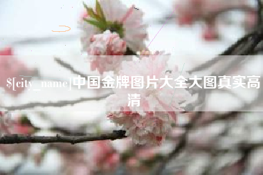 昌都中国金牌图片大全大图真实高清