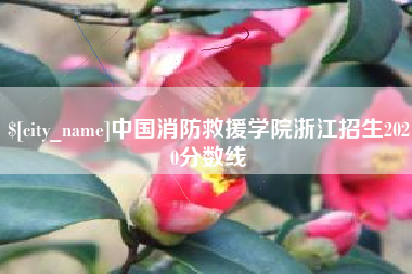 昌都中国消防救援学院浙江招生2020分数线