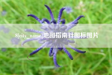 昌都地图指南针图标图片