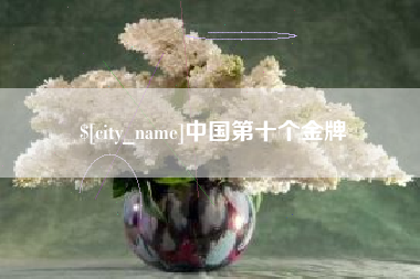昌都中国第十个金牌