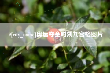 昌都奥运夺金时刻九宫格图片