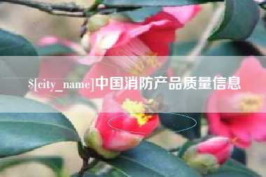 昌都中国消防产品质量信息