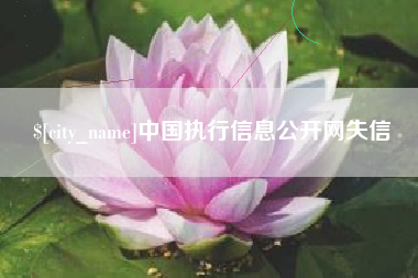 昌都中国执行信息公开网失信