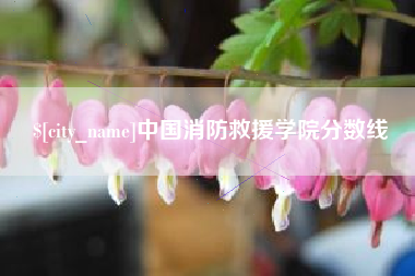 昌都中国消防救援学院分数线