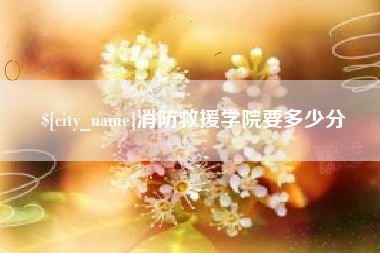 昌都消防救援学院要多少分