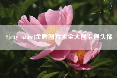 昌都金牌图片大全大图卡通头像
