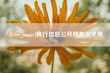 昌都执行信息公开网查询免费